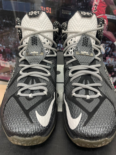 LeBron Black History Month size 9.5