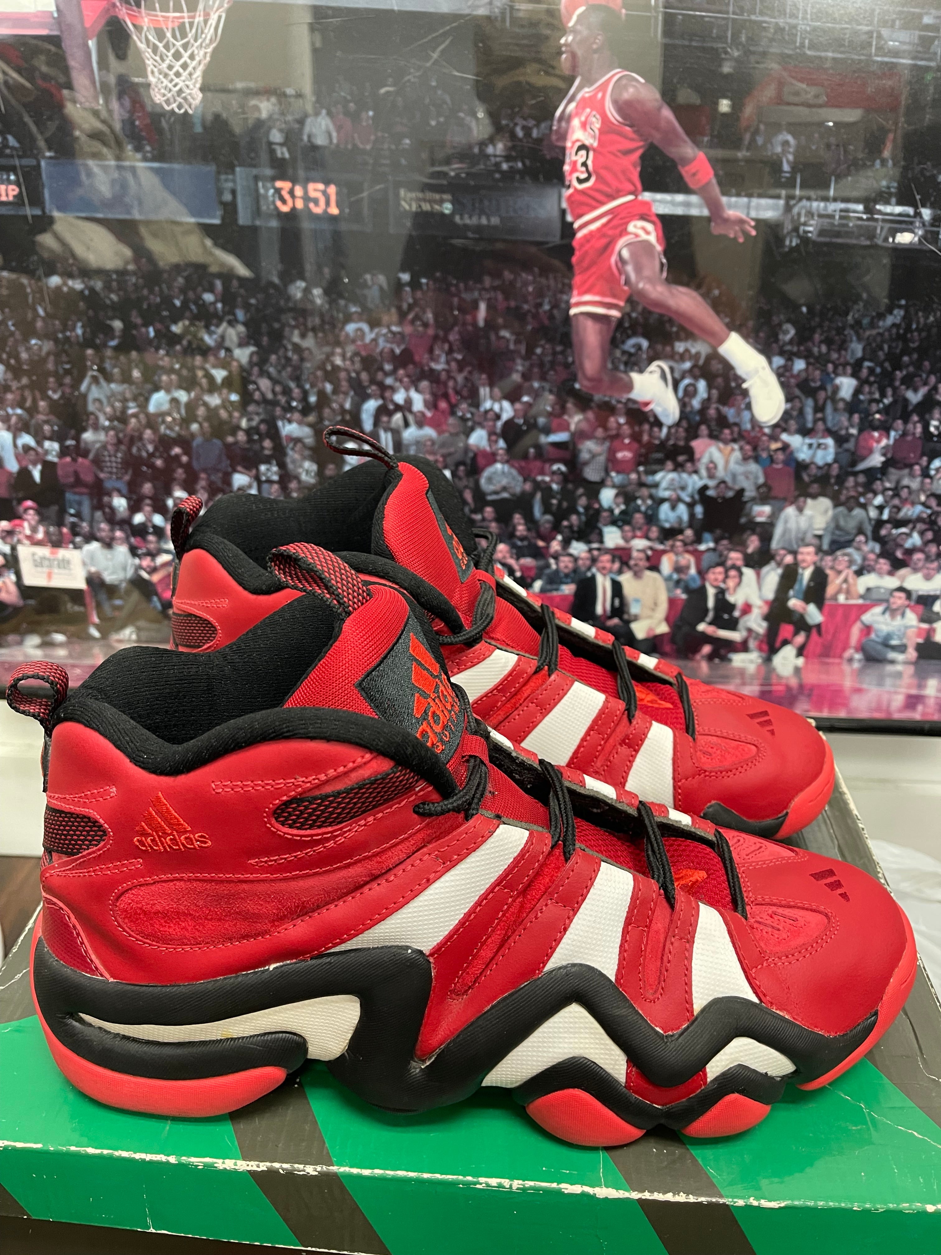 Crazy 8 ‘ Bulls ‘ Size 13