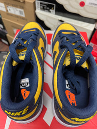 Dunk Low ‘ Michigan ‘ Size 4.5y