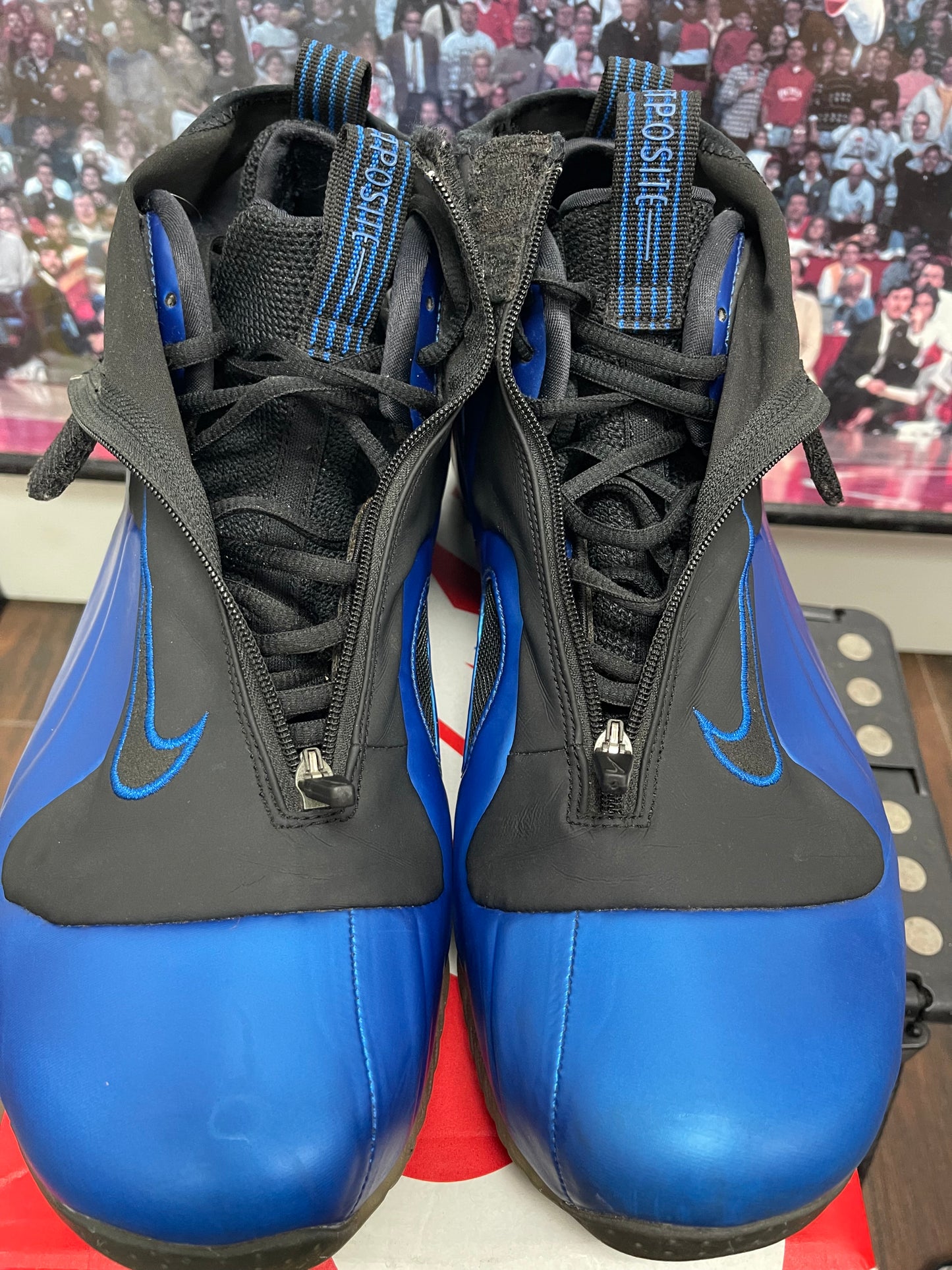 Flightposite ‘ Dark Royal ‘ Size 13