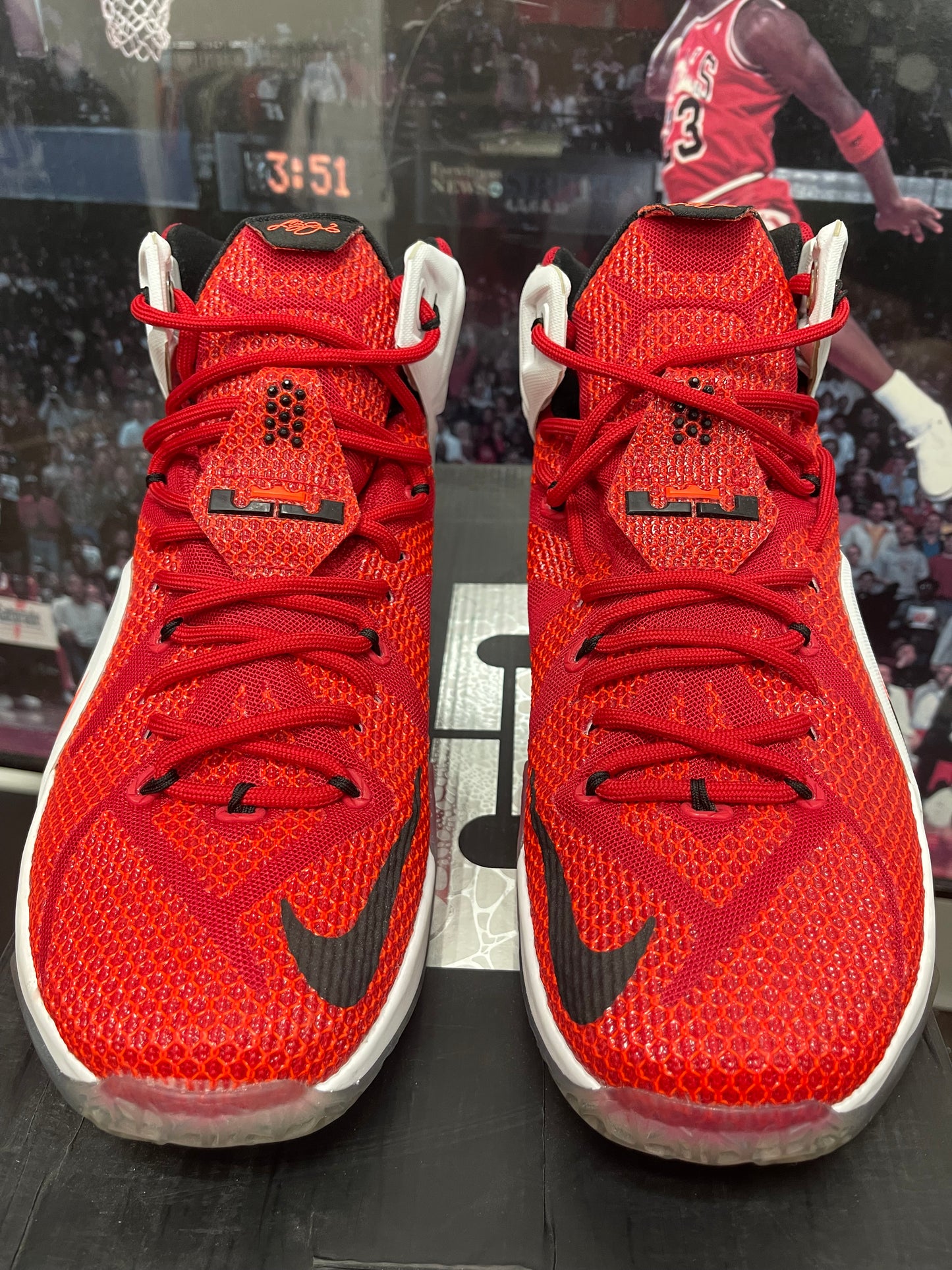 Nike LeBron 12 Elite Heart Of lion size  9.5
