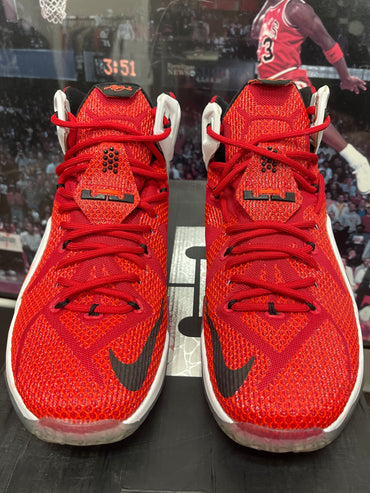 Nike LeBron 12 Elite Heart Of lion size  9.5
