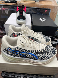 Puma All Pro Clyde Closet Size 13