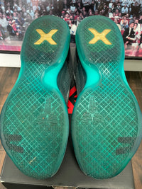 Kobe 10 Liberty size 10