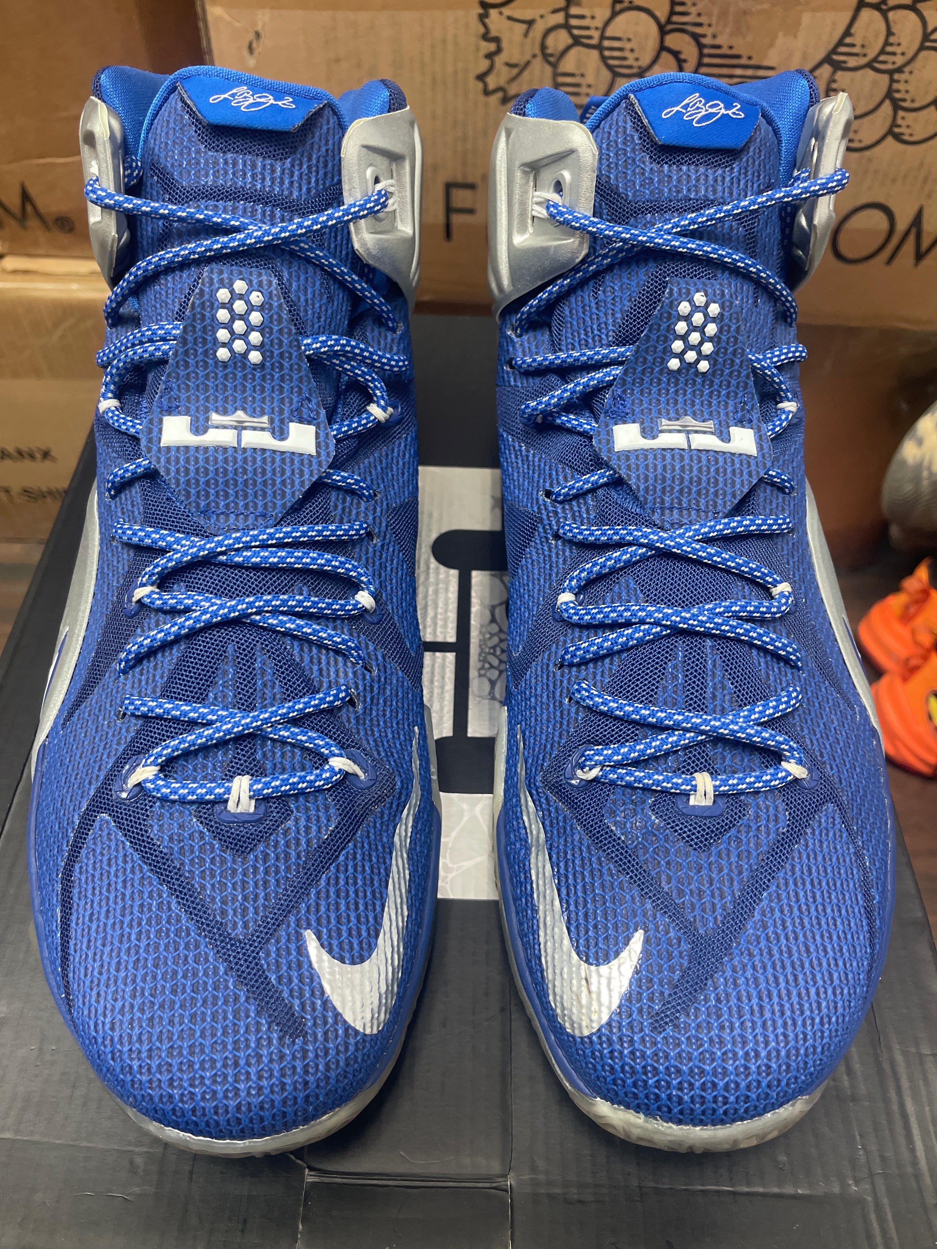 Nike LeBron 12 ‘ What IF ‘ Size 13
