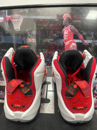 Nike LeBron 12 Elite Heart Of lion size  9.5