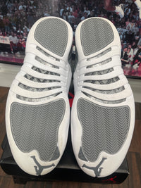 Air Jordan Retro 12 ‘ Stealth 2022 ‘ Size 12