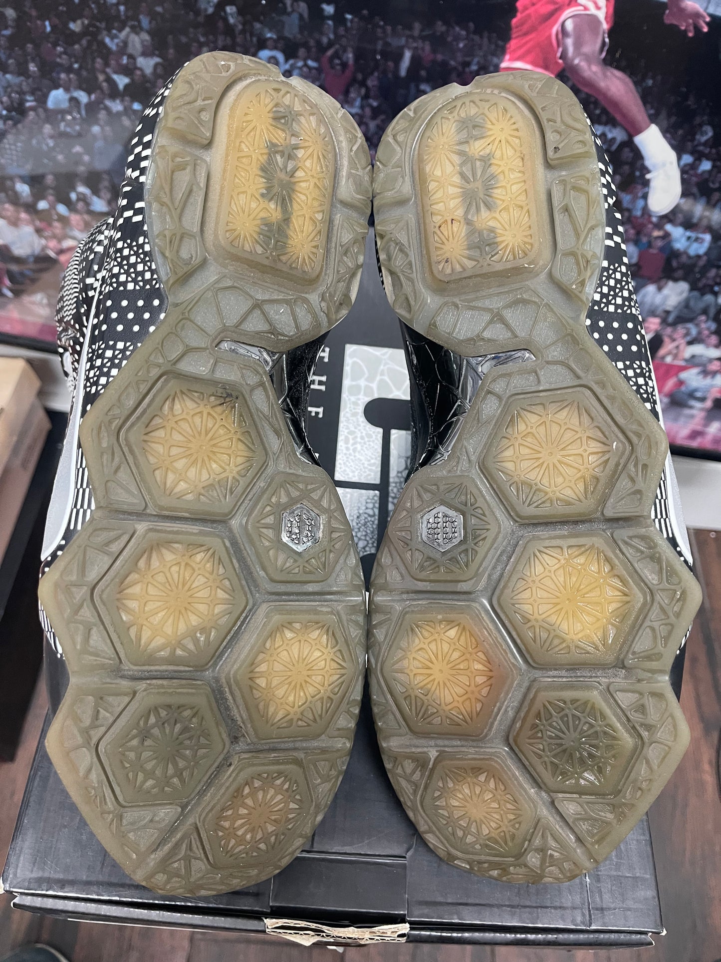 LeBron Black History Month size 9.5