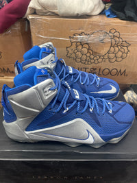 Nike LeBron 12 ‘ What IF ‘ Size 13