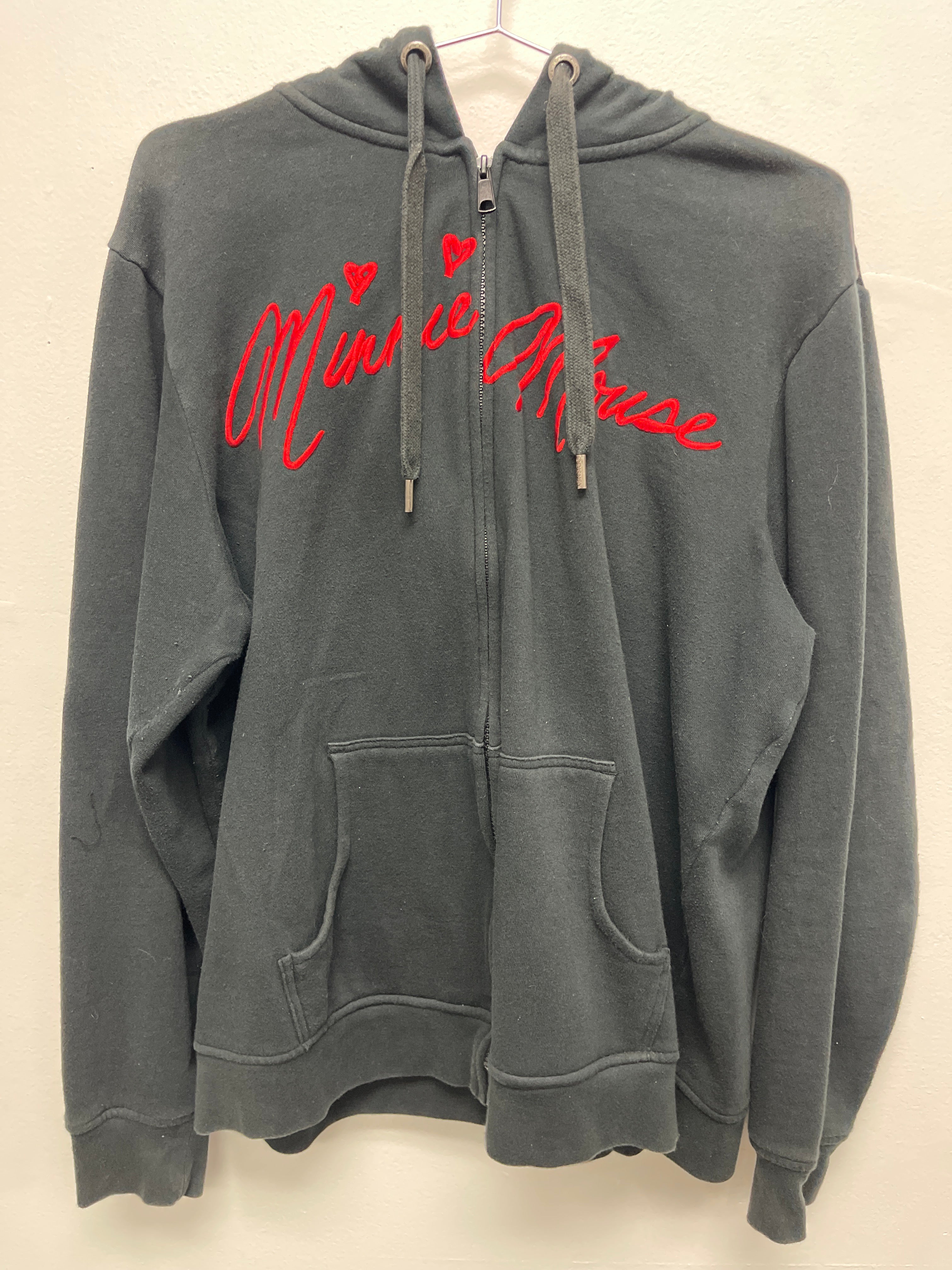 Disney Parks hoodie size 2XL