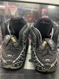 LeBron Black History Month size 9.5