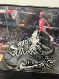 LeBron Black History Month size 9.5